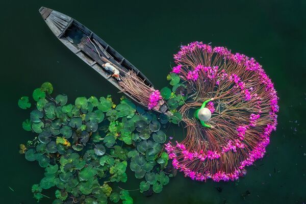 Fleurs de lys (Birmanie), lauréat du 10e Concours international de photojournalisme Stenine 2024 - Sputnik Afrique