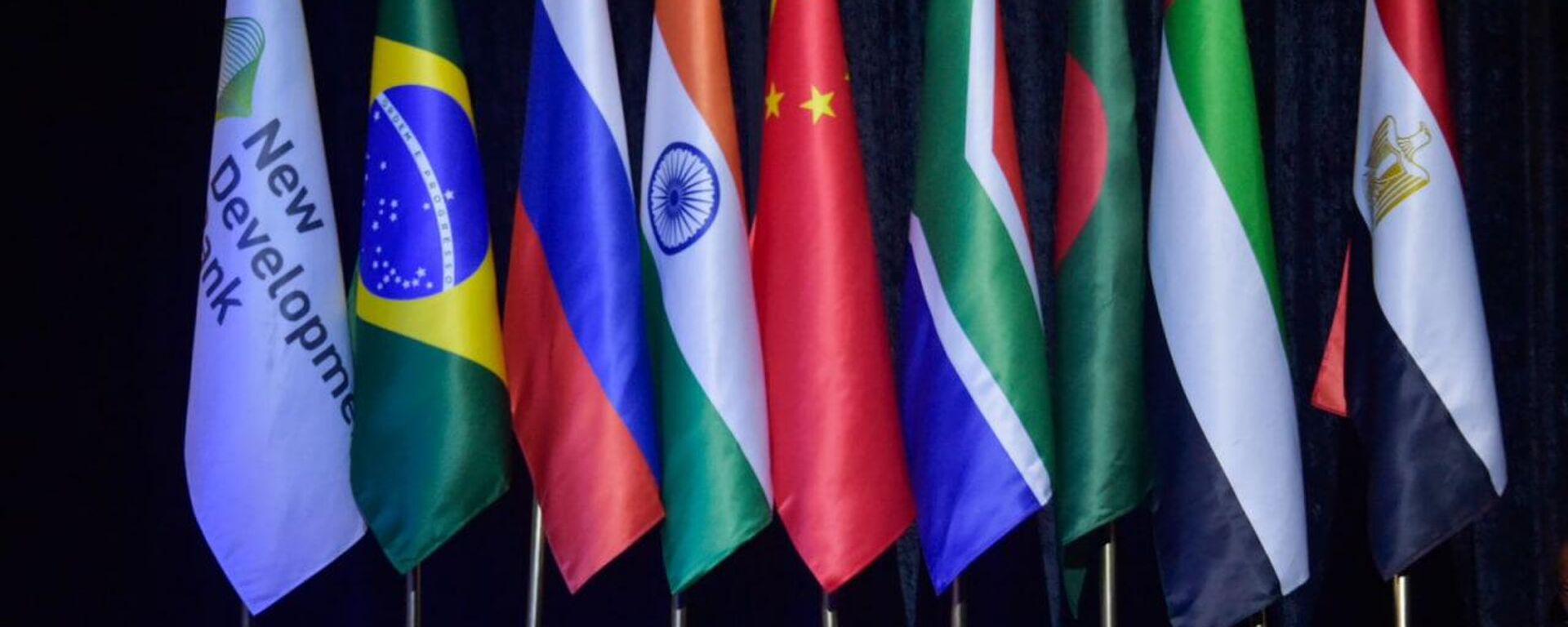 BRICS New Development Bank session in Cape Town. - Sputnik Africa, 1920, 31.08.2024