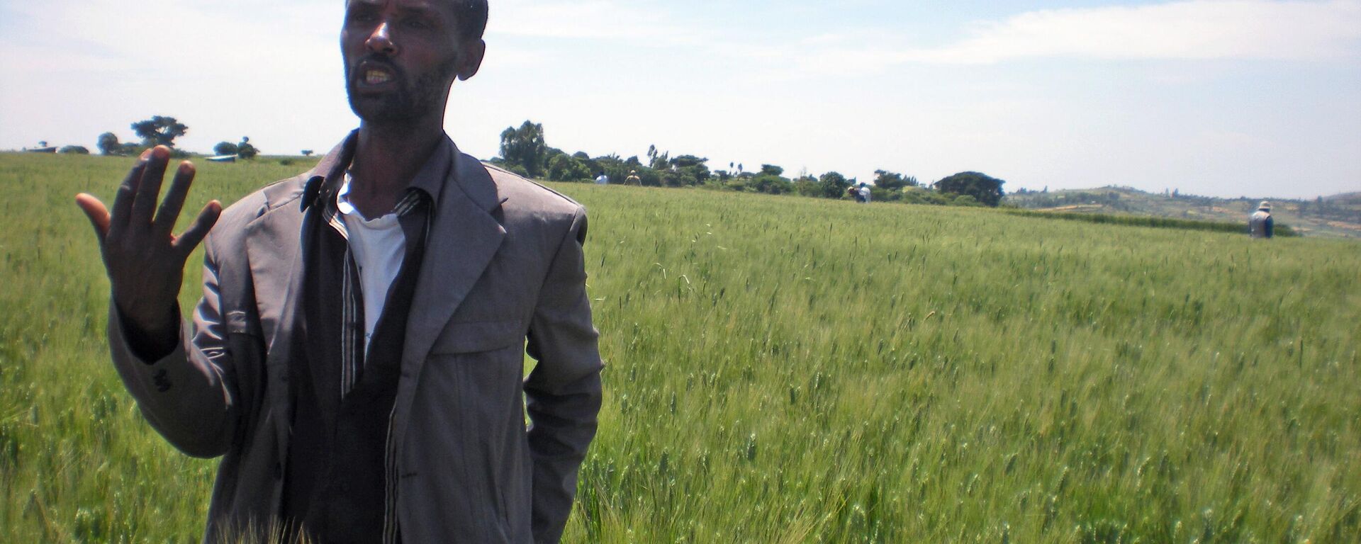 In this photo taken on Wednesday, Oct. 10, 2012  farmer Bedlu Mamo, stands in the middle of a field, on his half hectare wheat farm near Debre Zeit, in Ethiopia’s Amhara region. - Sputnik Africa, 1920, 01.09.2024