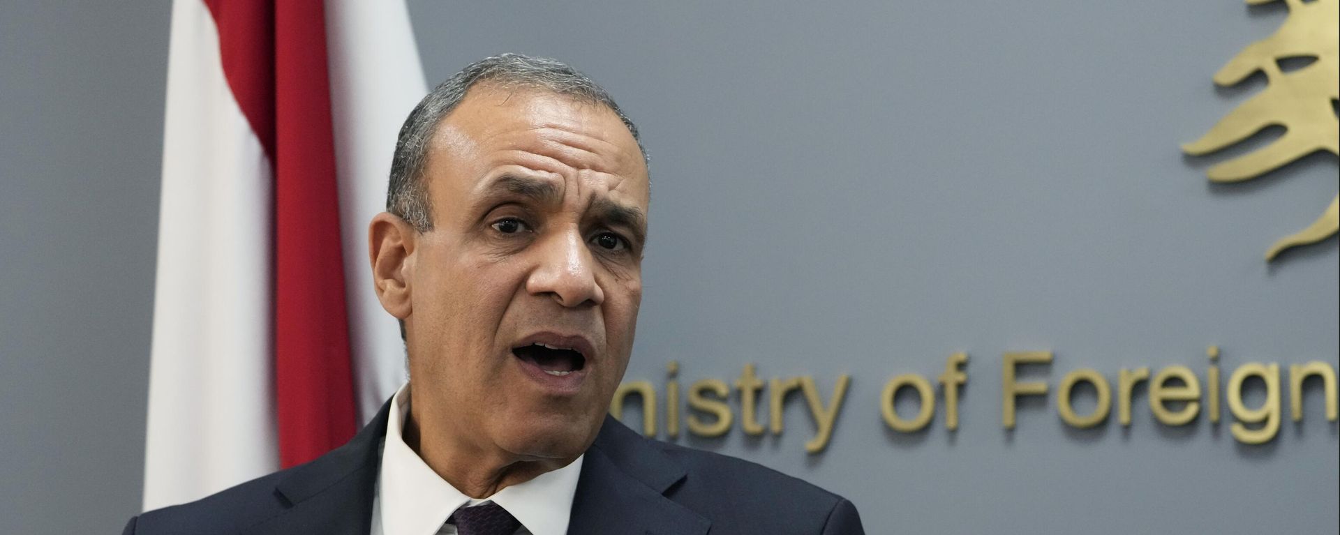 Egyptian Foreign Minister Badr Abdelatty, speaks during a joint press conference with his Lebanese counterpart Abdallah Bouhabib, at the Lebanese foreign ministry in Beirut, Lebanon, Friday, Aug. 16, 2024. - Sputnik Africa, 1920, 01.09.2024