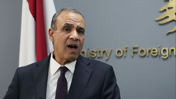 Egyptian Foreign Minister Badr Abdelatty, speaks during a joint press conference with his Lebanese counterpart Abdallah Bouhabib, at the Lebanese foreign ministry in Beirut, Lebanon, Friday, Aug. 16, 2024. - Sputnik Africa