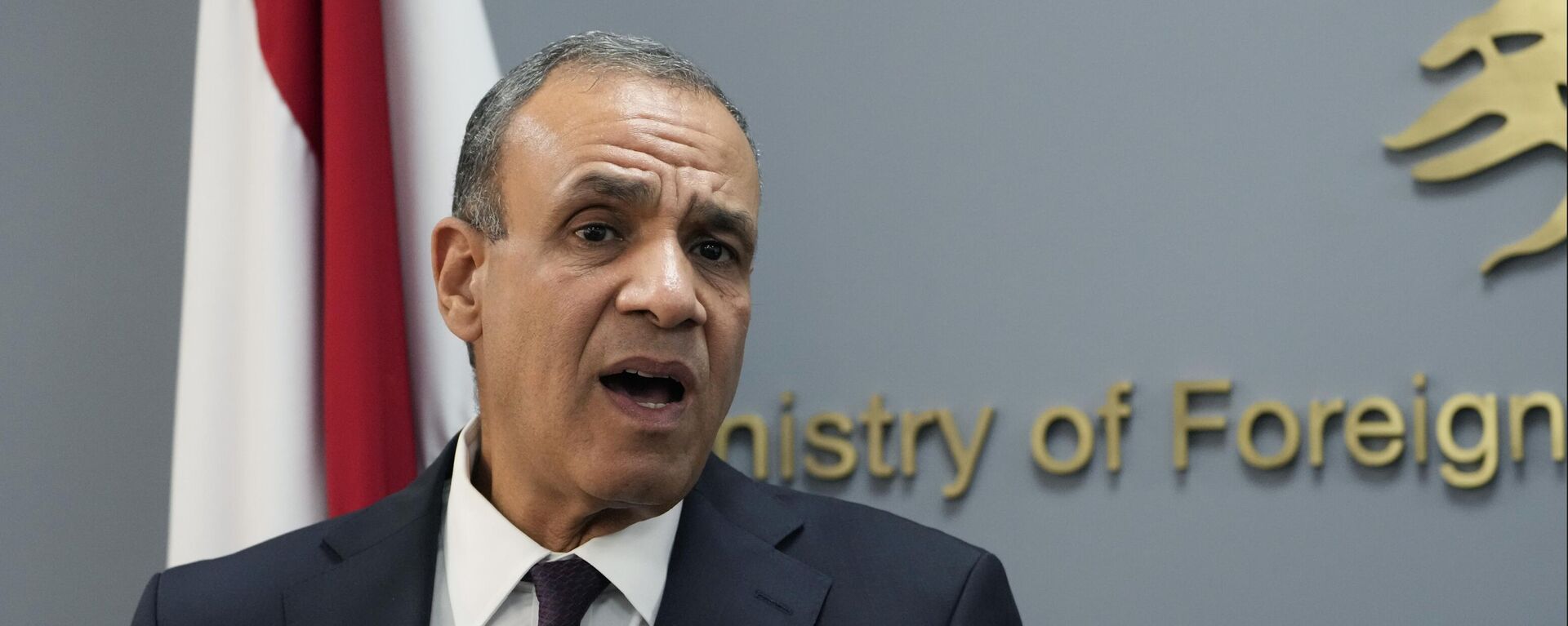 Egyptian Foreign Minister Badr Abdelatty, speaks during a joint press conference with his Lebanese counterpart Abdallah Bouhabib, at the Lebanese foreign ministry in Beirut, Lebanon, Friday, Aug. 16, 2024. - Sputnik Africa, 1920, 03.03.2025