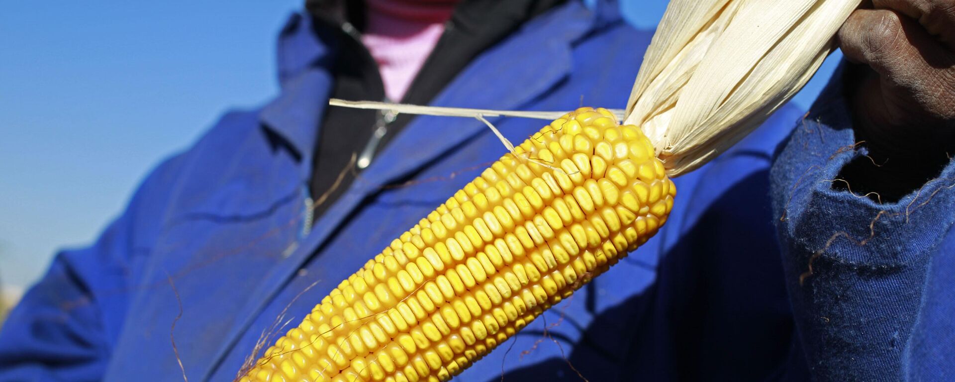 A woman farmer woman holds a piece of maize that she plucked for a field  near the house and birth place of former South African President Nelson Mandela in Qunu, South Africa, Wednesday,  June 12, 2013 - Sputnik Africa, 1920, 03.09.2024