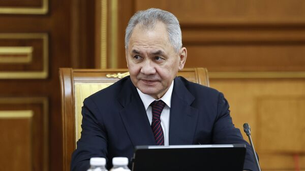 Ex-Defense Minister Sergei Shoigu - Sputnik Africa