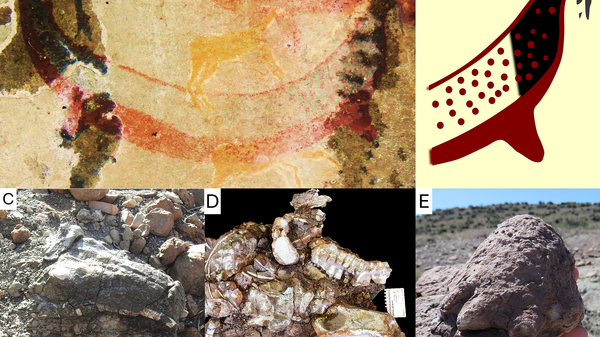 A possible later stone age painting of a dicynodont (Synapsida) from the South African Karoo - Sputnik Africa