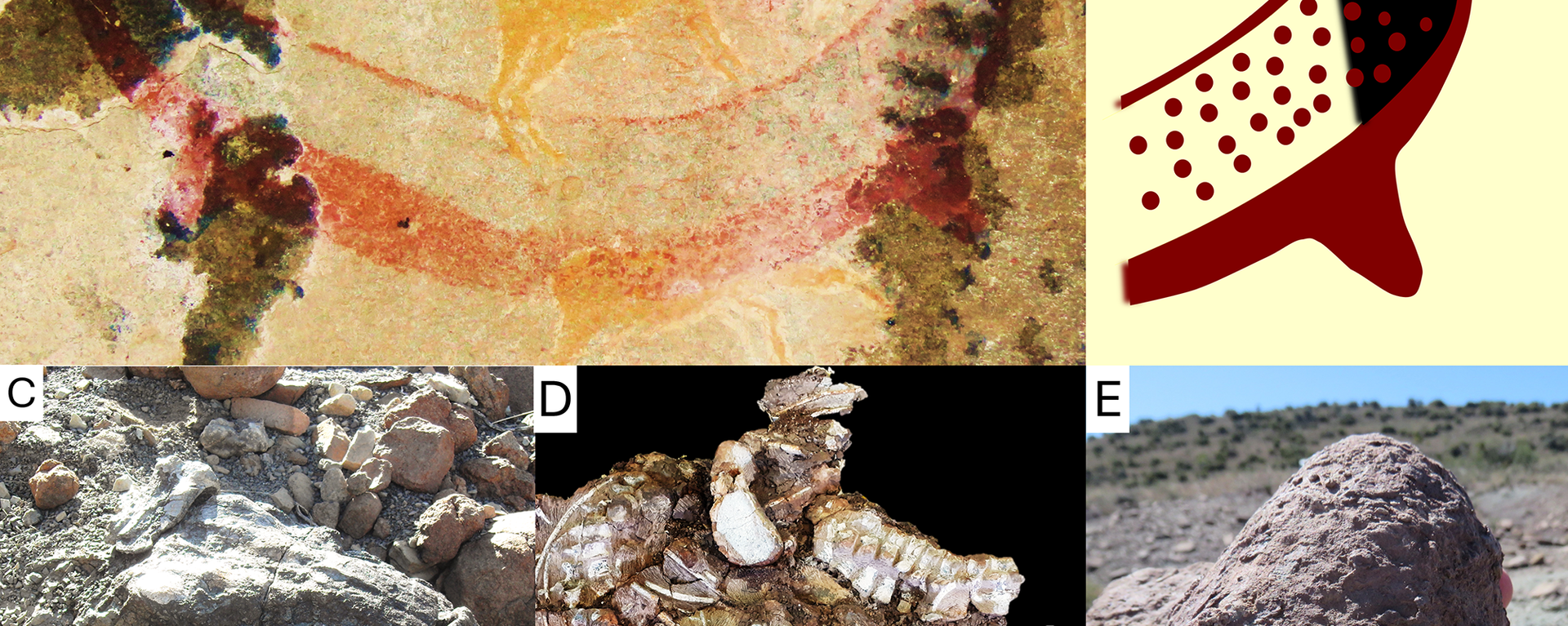 A possible later stone age painting of a dicynodont (Synapsida) from the South African Karoo - Sputnik Africa, 1920, 19.09.2024