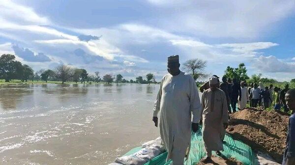 Zulum Activates Gov’t Machinery to Avert Flood Disaster in Borno - Sputnik Africa