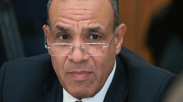 Egyptian Foreign Minister Badr Ahmed Mohamed Abdelatty during talks with Russian Foreign Minister Sergey Lavrov in Moscow. - Sputnik Africa