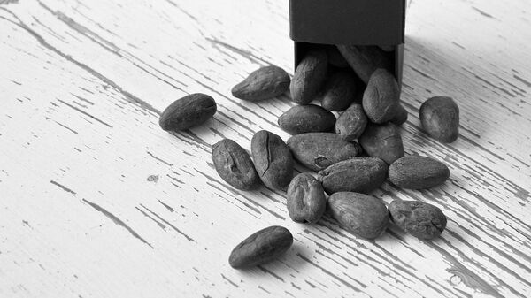 Le cacao à la Bourse de Moscou: «Se protéger contre la spéculation liée aux fluctuations du prix» - Sputnik Afrique