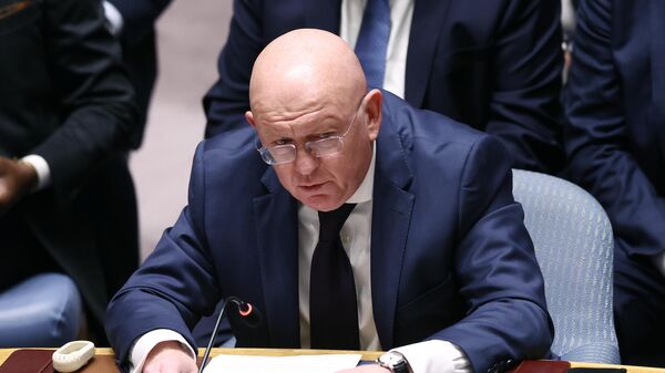 Permanent Representative of the Russian Federation to the UN Vasily Nebenzya at a meeting of the UN Security Council at the UN headquarters in New York. - Sputnik Africa