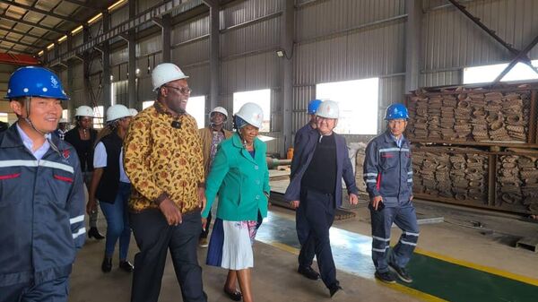 Zimbabwe's Minister of Mines Winston Chitando and Matebeleland North Minister of State Evelyn Ndlovu toured a US$3.6 billion project in Beitbridge. - Sputnik Africa