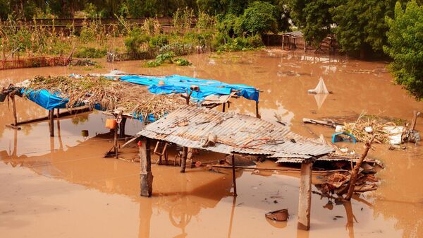 Consequences of the outflow of the Senegal River - Sputnik Africa