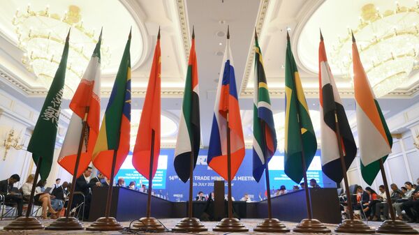 The 14th BRICS Trade Ministers Meeting - Sputnik Afrique