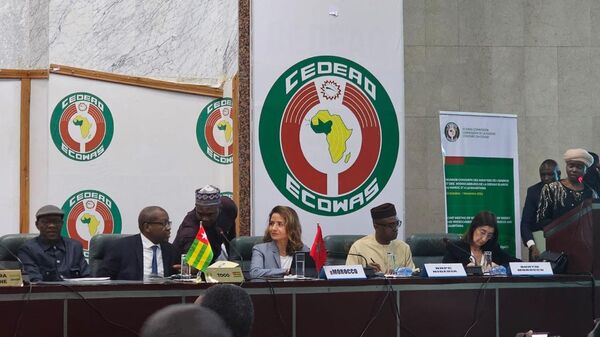 The Joint Meeting of ECOWAS Ministers of Energy and Hydrocarbons in Abuja, Nigeria - Sputnik Africa