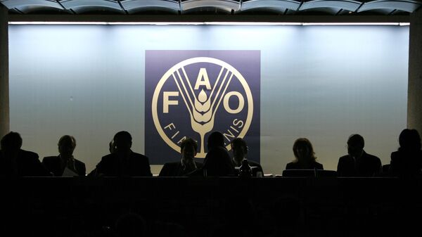 The UN Food and Agriculture Organization (FAO) - Sputnik Africa