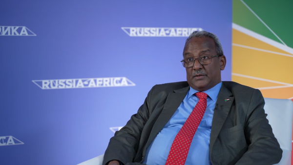 Sudan's Deputy Foreign Minister Hussein Al-Amin Al-Fadil Al-Haj during an interview with Sputnik Africa given on the sidelines of the first Russia-Africa ministerial conference in Sochi. - Sputnik Africa