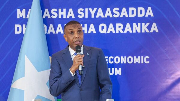 Somalia's Prime Minister Hamza Abdi Barre - Sputnik Africa