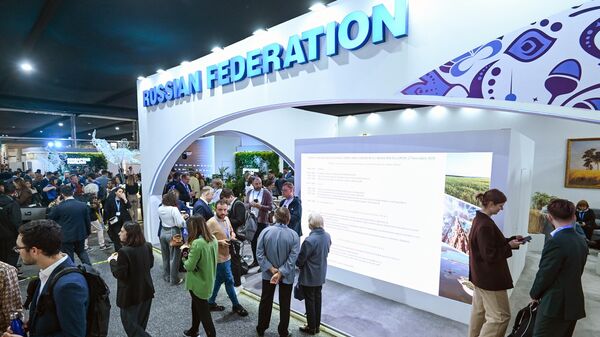 The Russian Federation pavilion at the exhibition held within the framework of the XXIX session of the Conference of the Parties to the UN Framework Convention on Climate Change (COP29) in Baku. - Sputnik Africa