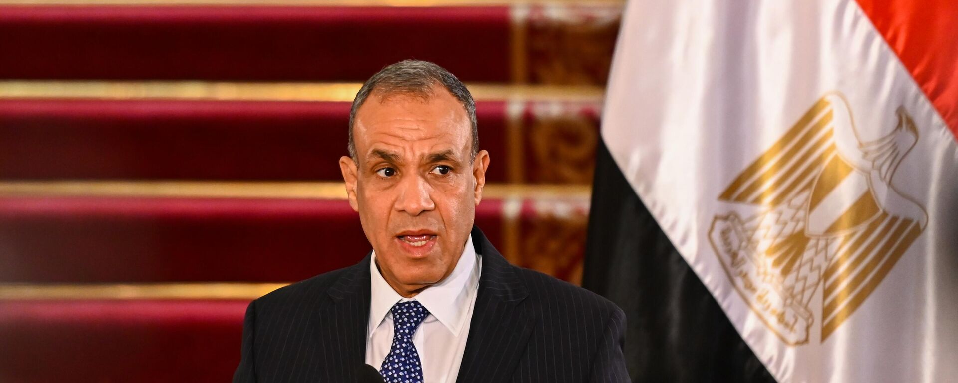 Egypt's Foreign Minister Badr Abdel Atty holds a press conference with European Union's foreign policy chief at the foreign ministry in Tahrir Palace, on September 10, 2024 in Cairo, Egypt.  - Sputnik Africa, 1920, 14.11.2024