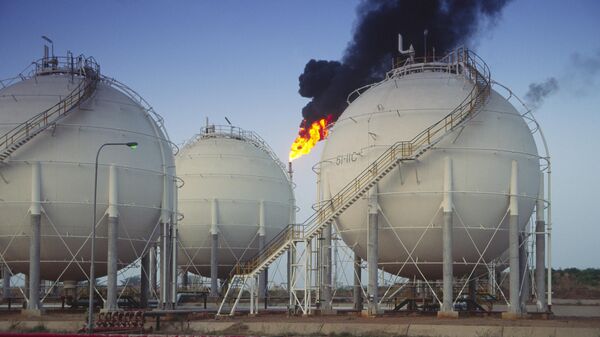 Oil and petrochemical refinery, Kaduna, Nigeria.  - Sputnik Africa