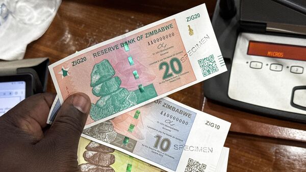 Banknotes of the new national currency Zimbabwe Gold, ZiG for short, are presented at a press conference of the Central Bank of Zimbabwe.  - Sputnik Africa