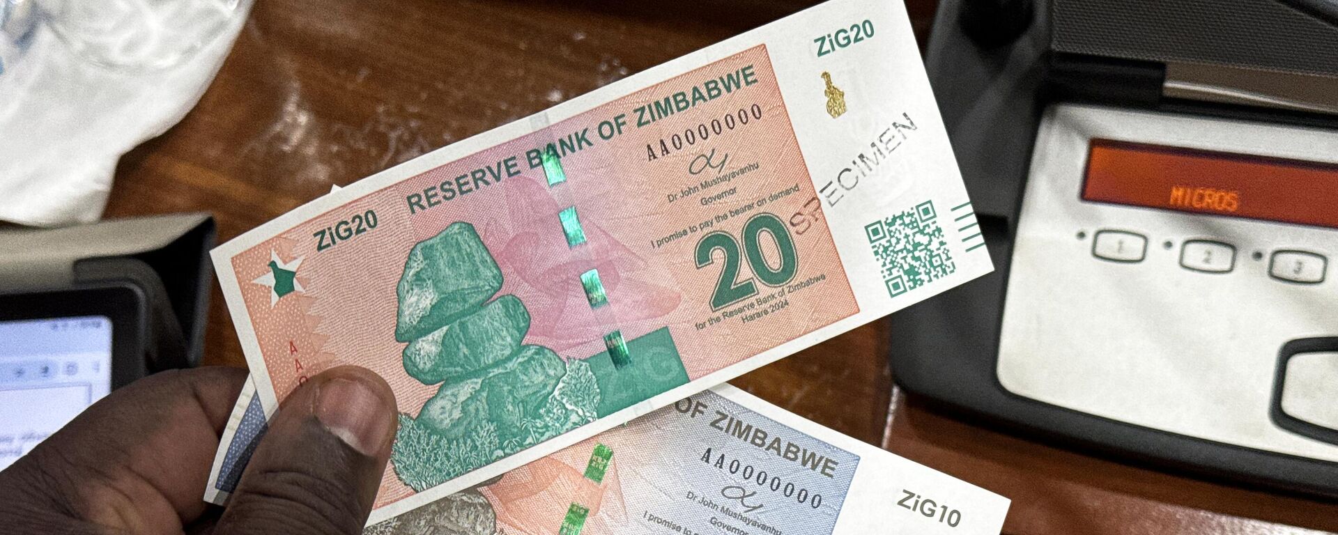 Banknotes of the new national currency Zimbabwe Gold, ZiG for short, are presented at a press conference of the Central Bank of Zimbabwe.  - Sputnik Africa, 1920, 15.11.2024