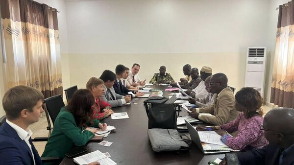  Meeting of the experts from the agriculture ministries of Russia and the Central African Republic  - Sputnik Africa