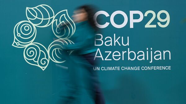 XXIX session of the Conference of the Parties to the United Nations Framework Climate Change Conference (COP29) in Baku. - Sputnik Africa