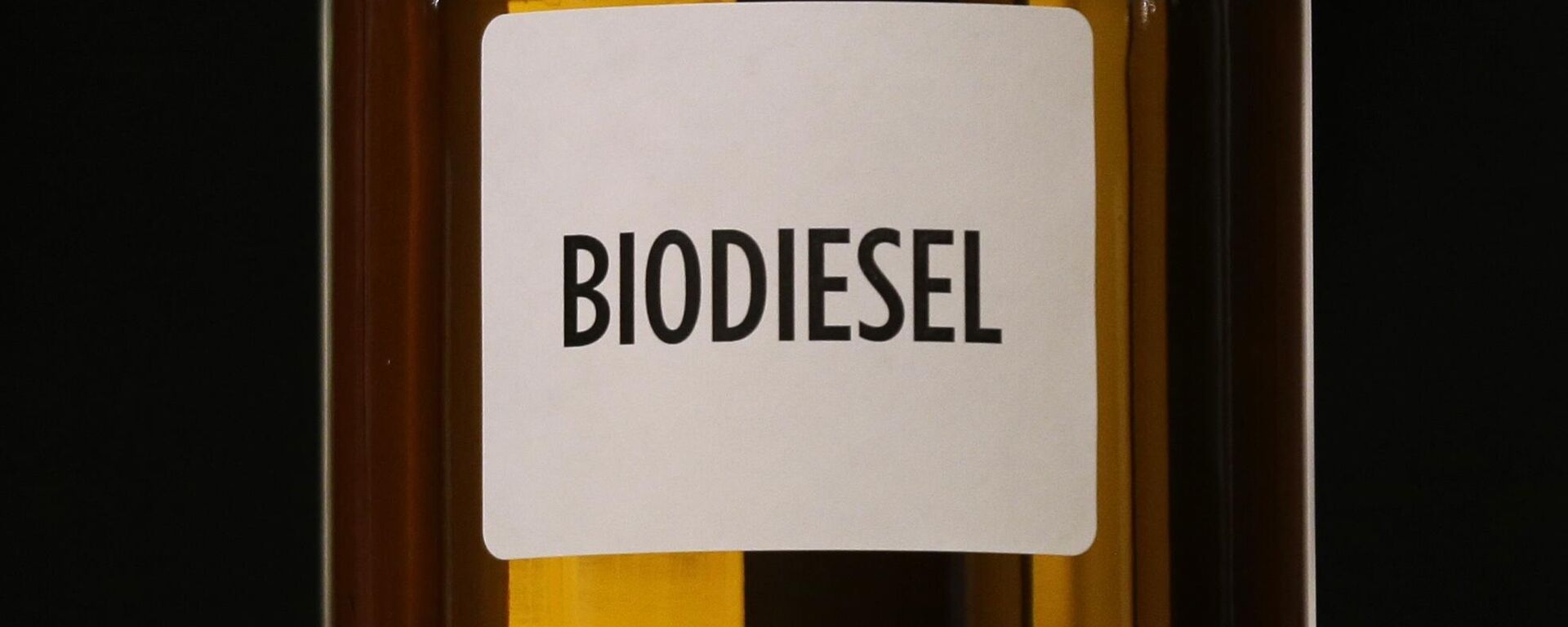 Biodiesel fuel - Sputnik Africa, 1920, 28.11.2024