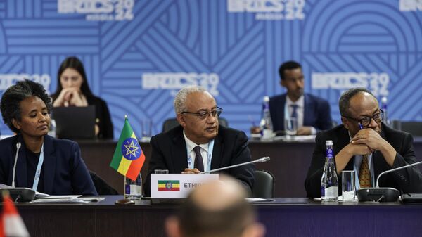 Special Policy Advisor of the Minister of Foreign Affairs of Ethiopia Minelik Alemu at the fifth meeting of BRICS Sherpas/Sous-Sherpas - Sputnik Africa