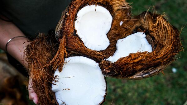 La Côte d'Ivoire rejoint la Communauté Internationale de la noix de coco, après le Kenya