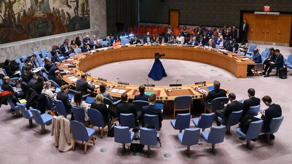 Russia's Foreign Minister Sergey Lavrov speaks during a meeting of the United Nations Security Council - Sputnik Africa