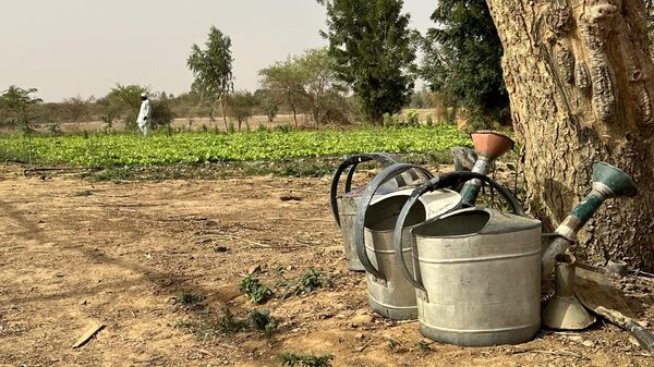 04 March 2024, Burkina Faso, Ouagadougou: Federal Development Minister Schulze (SPD, not pictured) finds out about sustainable vegetable cultivation in dry climate zones during a visit to a training center. - Sputnik Africa