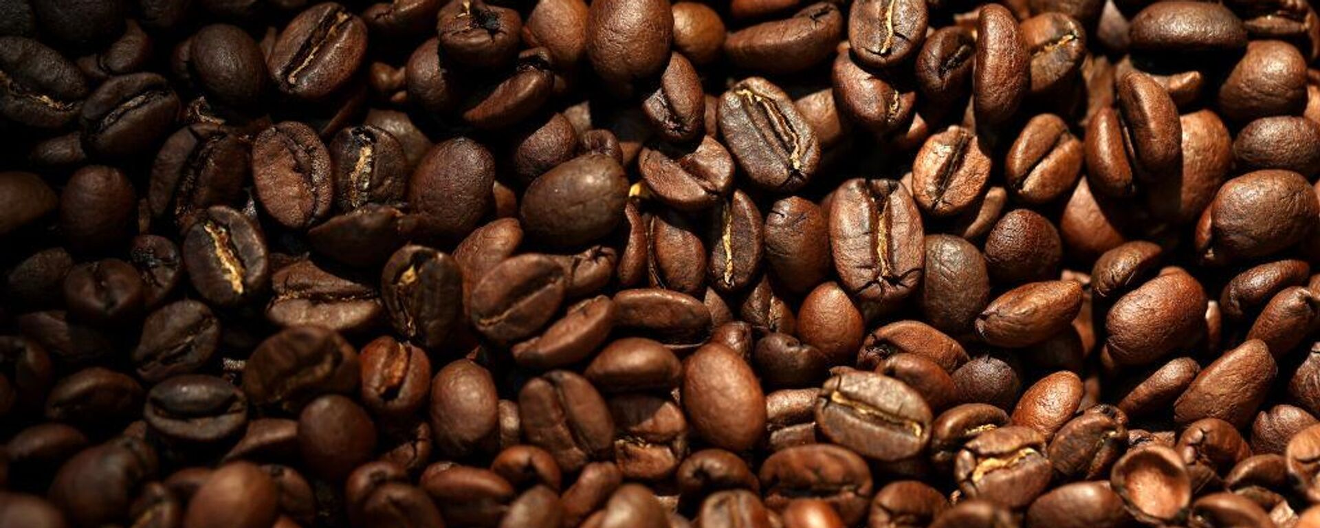 Coffee beans are cooled after being roasted at Red Whale Coffee on December 04, 2024 in San Rafael, California. Extreme weather and severe drought in coffee-growing countries have pushed coffee prices to a 47-year high of $3.35 per pound for Arabica coffee on the Intercontinental Exchange. - Sputnik Africa, 1920, 11.12.2024