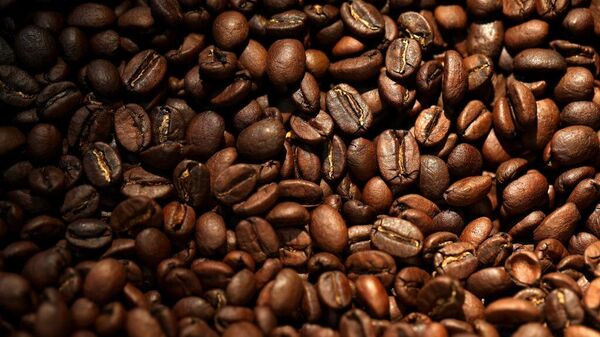 Coffee beans are cooled after being roasted at Red Whale Coffee on December 04, 2024 in San Rafael, California. Extreme weather and severe drought in coffee-growing countries have pushed coffee prices to a 47-year high of $3.35 per pound for Arabica coffee on the Intercontinental Exchange. - Sputnik Africa