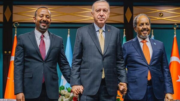 Negotiations between Somali President Hassan Sheikh Mohamud and Ethiopian Prime Minister Abiy Ahmed, mediated by Turkish President Recep Tayyip Erdogan in Ankara. - Sputnik Africa