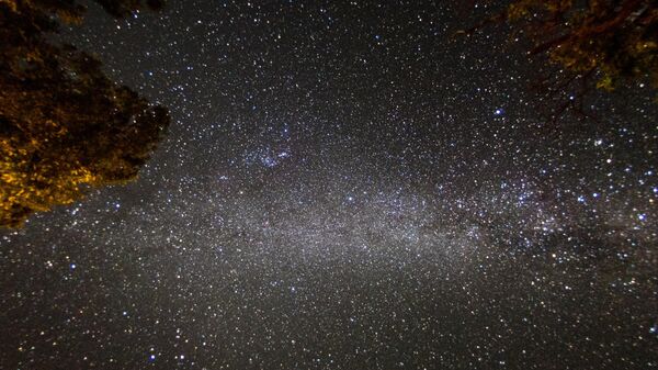 The night sky covered in billions of stars in Hwange National Park, Hwange, Zimbabwe - Sputnik Africa