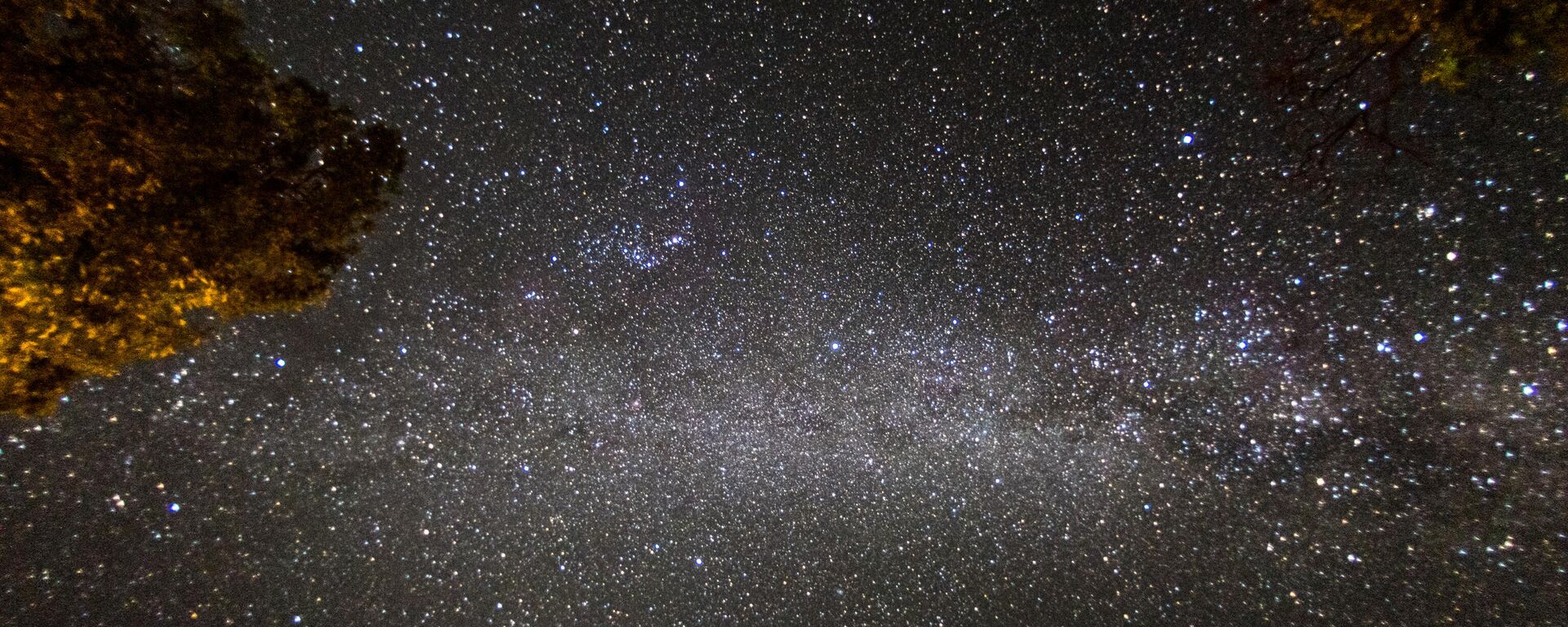 The night sky covered in billions of stars in Hwange National Park, Hwange, Zimbabwe - Sputnik Africa, 1920, 13.12.2024