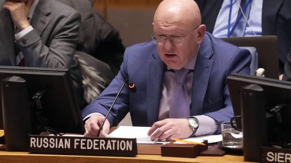 Russia UN Ambassador Vasily Nebenzya addresses the United Nations Security Council, Thursday, Dec. 19, 2024.  - Sputnik Africa