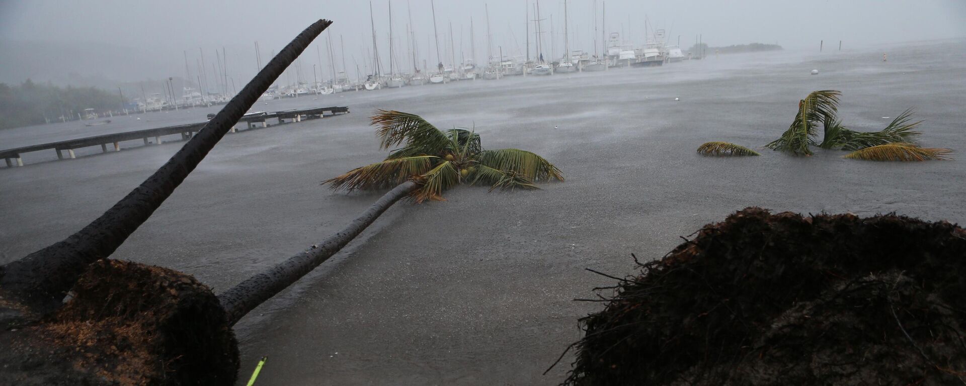 Debris is seen during a storm surge near the Puerto Chico Harbor during the passing of Hurricane Irma on September 6, 2017 in Fajardo, Puerto Rico.  - Sputnik Africa, 1920, 21.12.2024