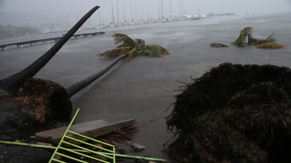 Debris is seen during a storm surge near the Puerto Chico Harbor during the passing of Hurricane Irma on September 6, 2017 in Fajardo, Puerto Rico.  - Sputnik Africa