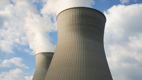 Nuclear power plant cooling towers - Sputnik Africa