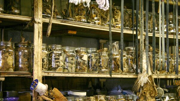 Witch Doctor Supply Store in Johannesburg Selling Plants, Parts of Animal and Herbs for Traditional African Medicines - stock photo - Sputnik Africa