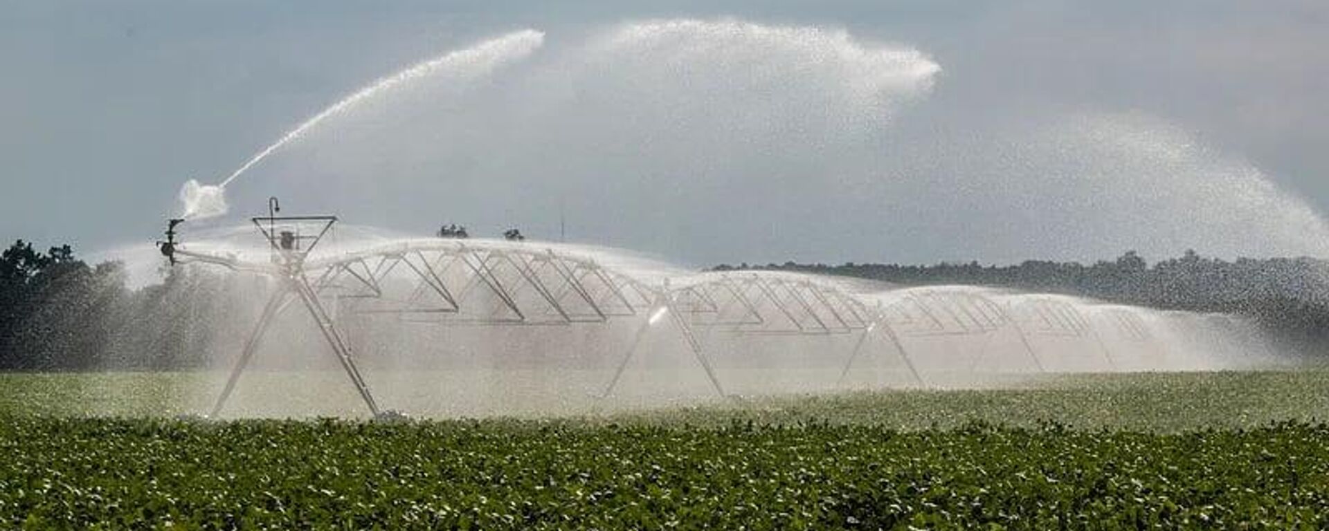 Pivot irrigation with rotating and end gun style pivot sprinkler in Hanover, Virginia. - Sputnik Africa, 1920, 23.12.2024