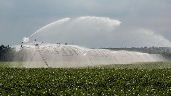 Pivot irrigation with rotating and end gun style pivot sprinkler in Hanover, Virginia. - Sputnik Africa