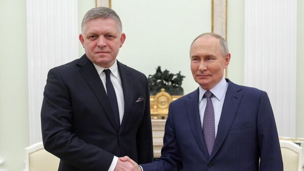 President Vladimir Putin held talks with Slovakian Prime Minister Robert Fico - Sputnik Africa