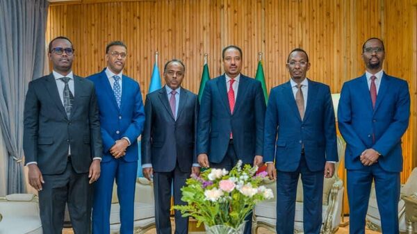 Somalia and Ethiopia are committed to joint development and peace efforts, as reaffirmed after high-delegation visit - Sputnik Africa