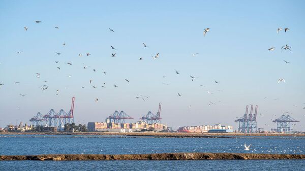 PORT SAID, EGYPT - NOVEMBER 22: A ship transits the Suez Canal towards the Mediterranean Sea on November 22, 2024 in Port Said, Egypt. - Sputnik Africa