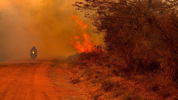 Escape from Forest Fire - Sputnik Africa