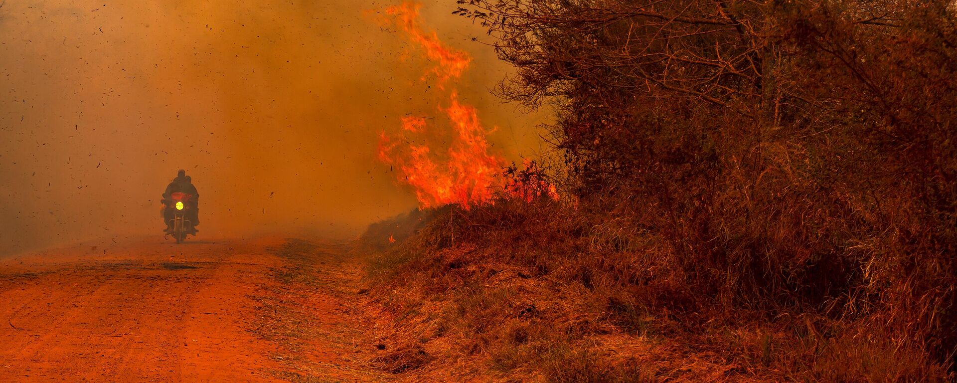 Escape from Forest Fire - Sputnik Africa, 1920, 28.12.2024